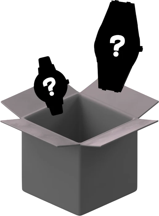 Mystery Watch